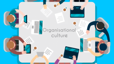 OrganisationCulture