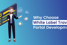 Why Choose White Label Travel Portal Development
