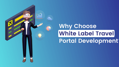 Why Choose White Label Travel Portal Development