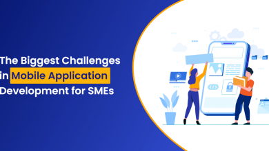 The Biggest Challenges in Mobile Application Development for SMEs