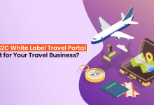 How B2C White Label Travel Portal is Best for Your Travel Business