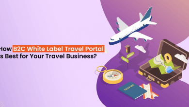 How B2C White Label Travel Portal is Best for Your Travel Business