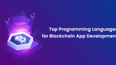 Programming Languages for Blockchain