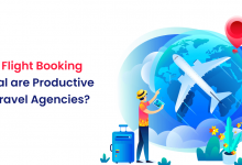 How Flight Booking Portal are Productive for Travel Agencies