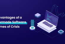 6 Advantages of a Tailormade Software in Times of Crisis