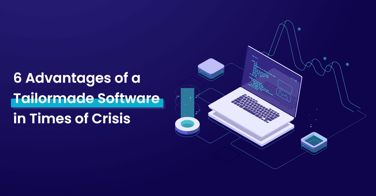 6 Advantages of a Tailormade Software in Times of Crisis