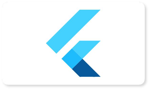 Flutter App