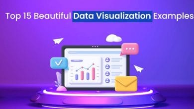 Top Beautiful Data Visualization Examples