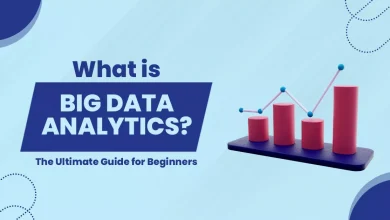 what is big data analytics